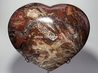 zkamenělé dřevo, srdce